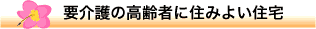 NZ̏VHX